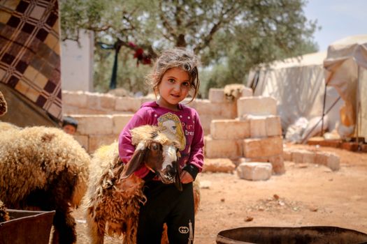 A young girl in rural Syria lovingly holds a goat, capturing innocence and warmth.